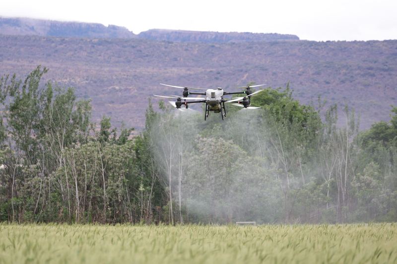 Spray drone working along a tree line with a visible spray cloud and hills behind
